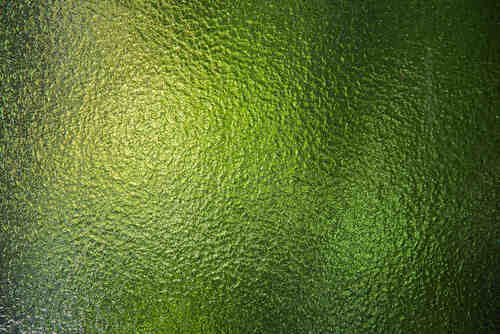 Green Textured Window Glass for Home