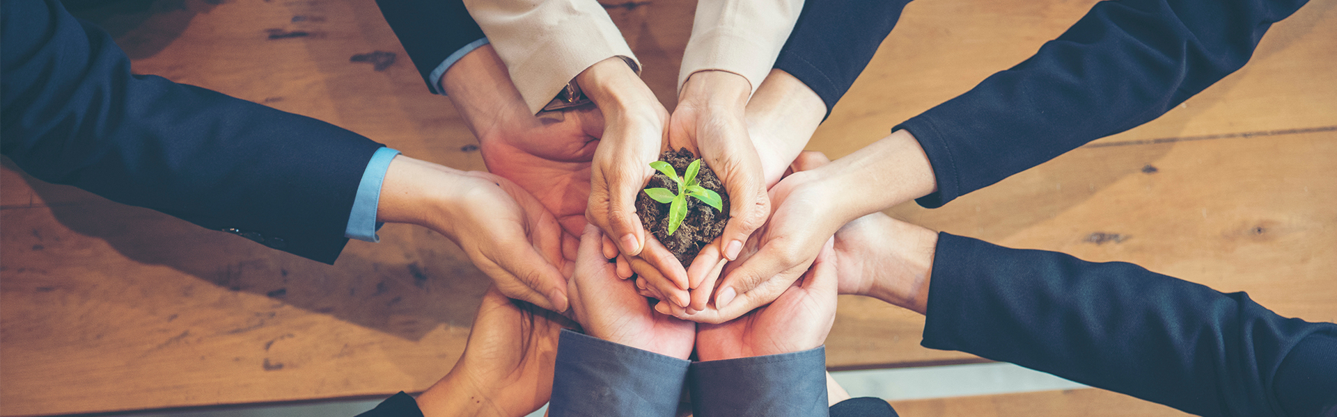 Key Focus Areas of Sustainability