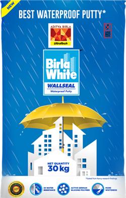 Birla-White-Wallseal-Waterproof-Putty
