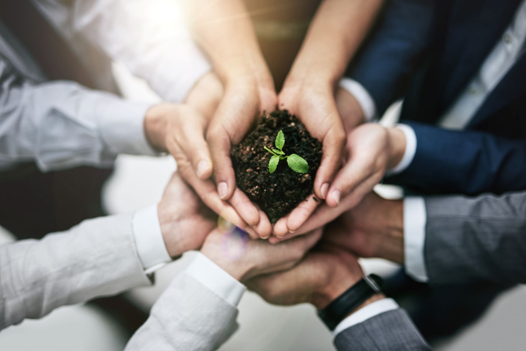 Building solutions for a sustainable future