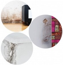 What is dampness?
