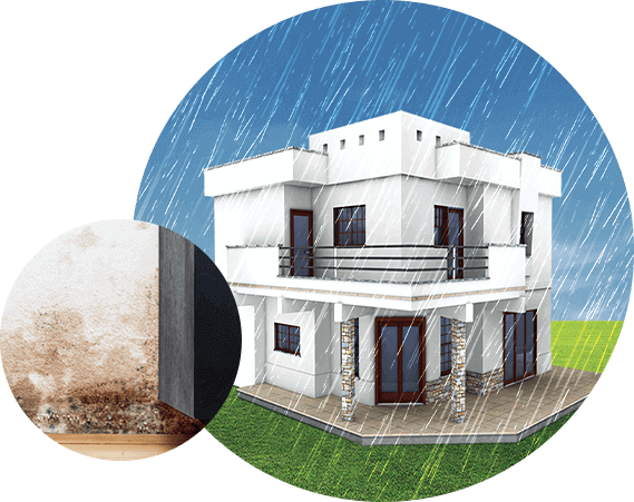 Ways To Prevent Dampness from Damaging your Home