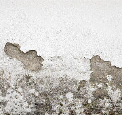 What is Dampness?