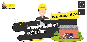 कैटलशेड बनाने का सही तरीका