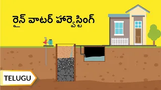 రైన్ వాటర్ హార్వెస్టింగ్‌కు మార్గాలు | Rainwater Harvesting |Telugu | UltraTech Cement