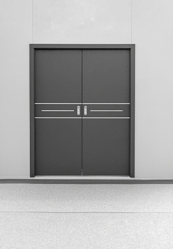 Modern Metal Double Door with Silver Accents | UltraTech