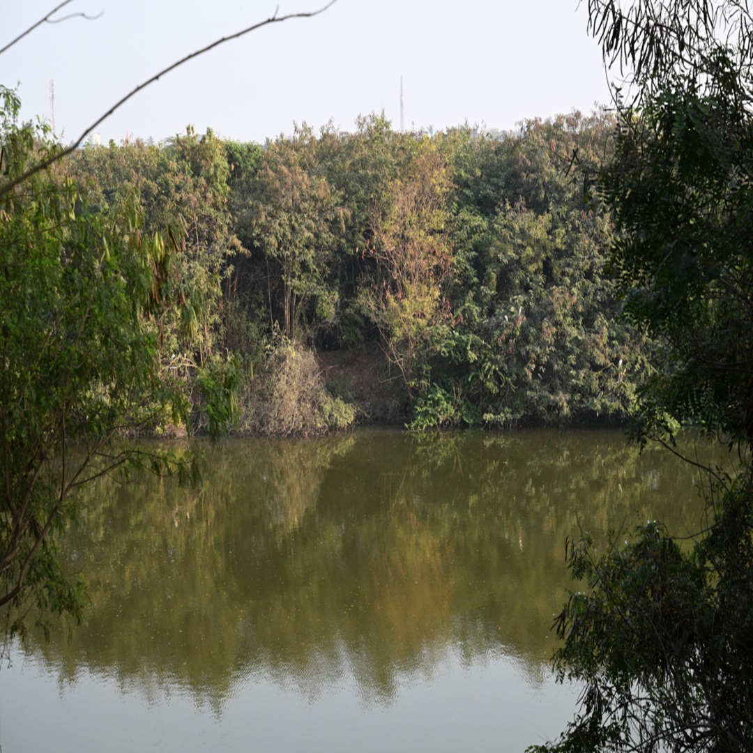 UltraTech champions responsible water stewardship at scale