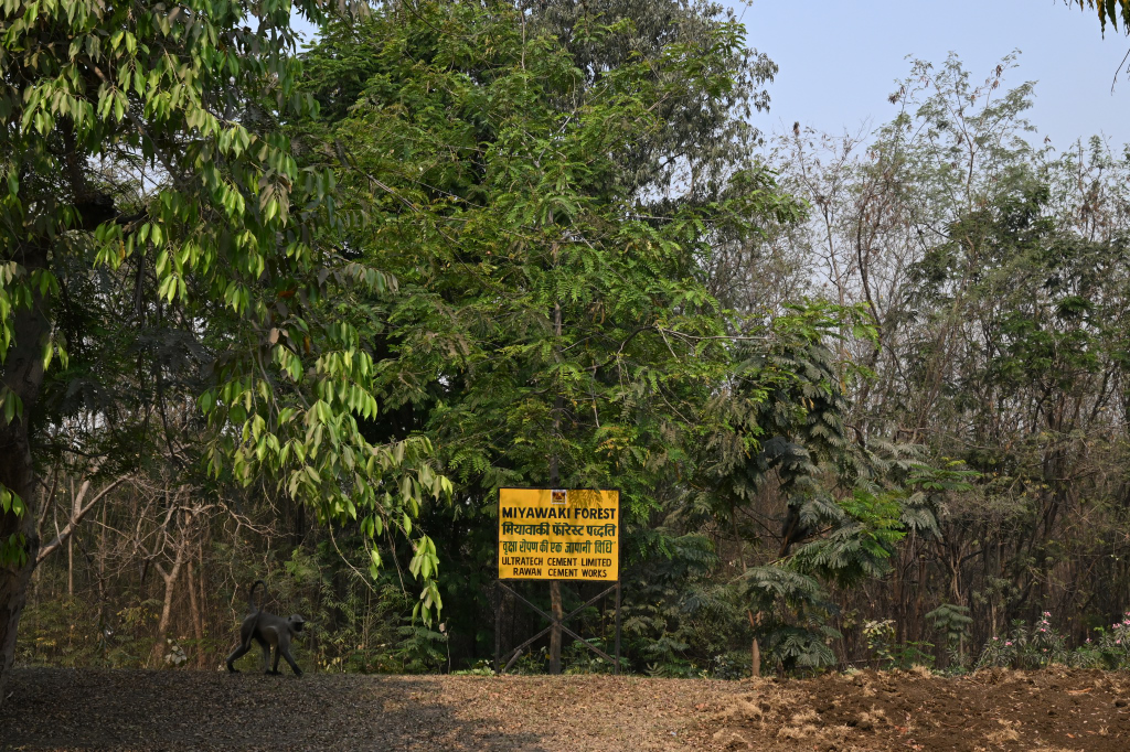 UltraTech reinforces its commitment to forest conservation and biodiversity protection