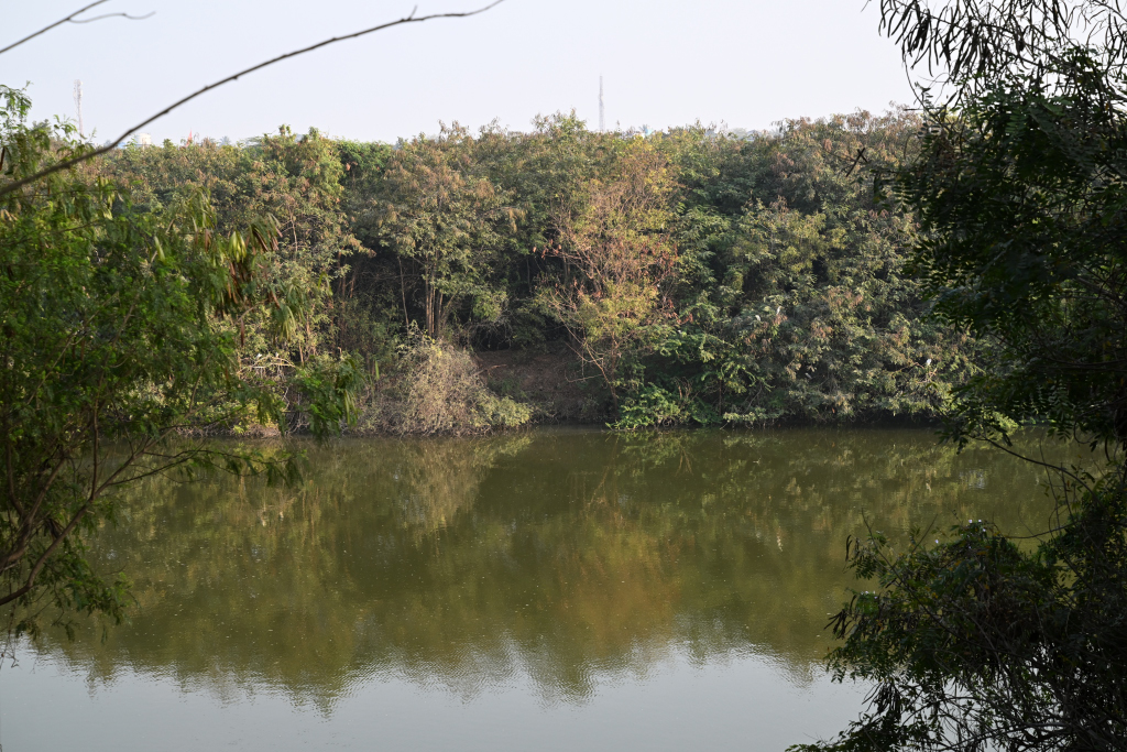 UltraTech champions responsible water stewardship at scale