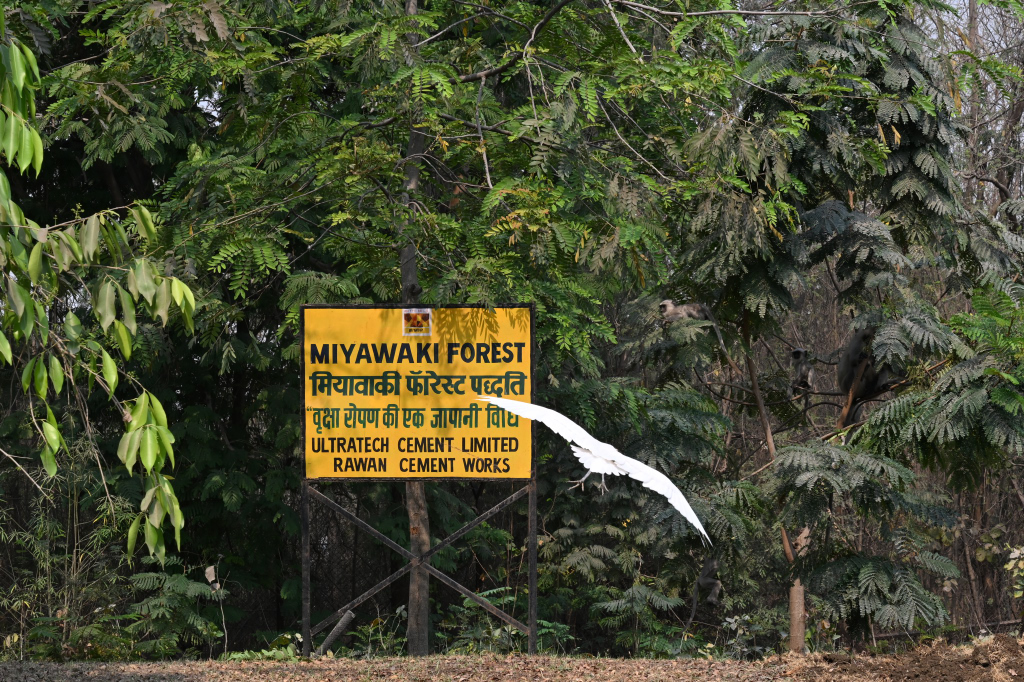  World Nature Conservation Day 2025: UltraTech enables ecological preservation in its operating communities