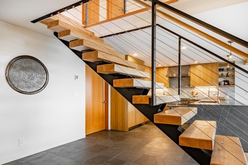 Modern dog stairs top