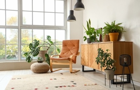  Placement of Plants in Living Room as per Vastu Shastra