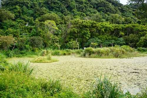 Choose the Right Location