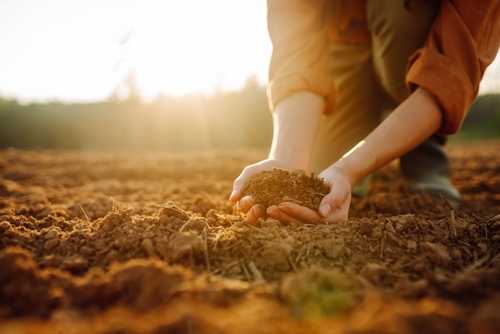 Assess the Soil Quality & Land Level