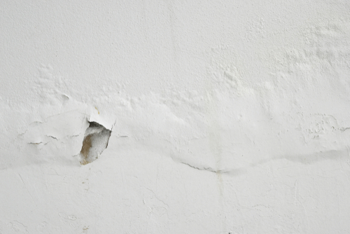 Excess Roof Moisture