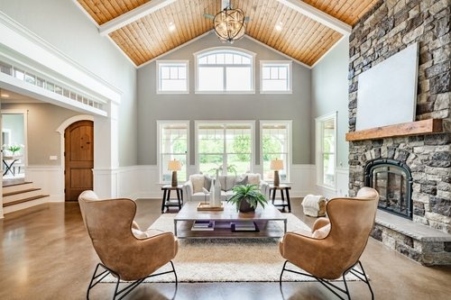 Living Room with Classic Vaulted Ceiling Design | UltraTech Cement