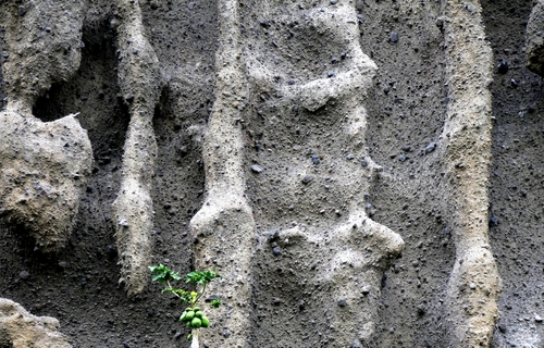 Portland Pozzolana Cement