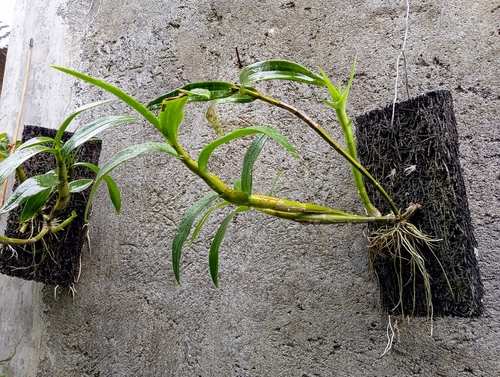 Type 4: Joints in Construction: Isolation Joints