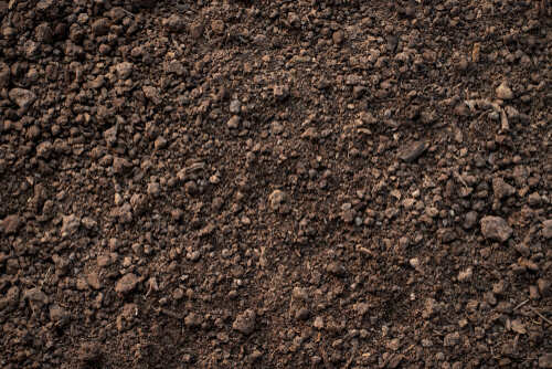 Loam Soil | UltraTech Cement