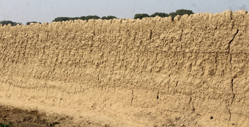 Adobe and Rammed Earth