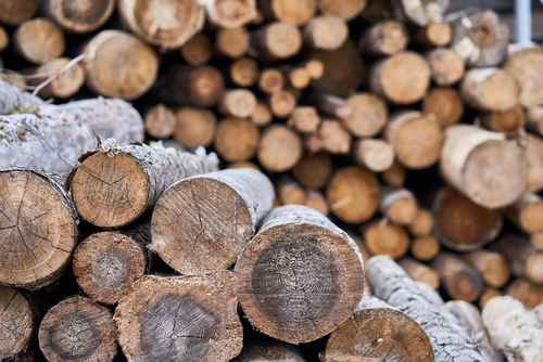 Chopped Wood Logs Used in Construction | UltraTech Cement