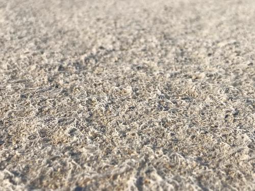 Concrete Bleeding