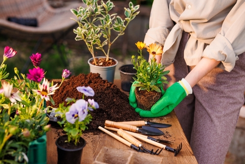 Gardening | Ultratech Cement