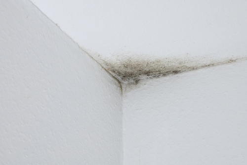 Moulding | Ultratech Cement