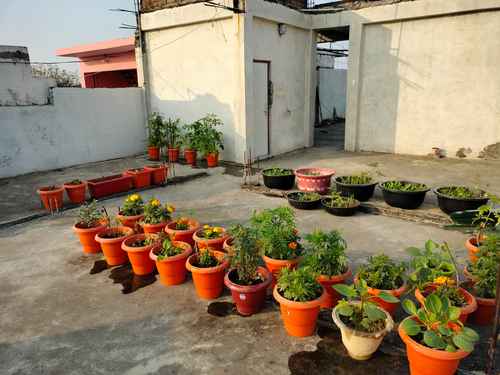Terrace | UltraTech Cement