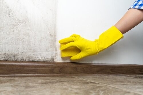 paint chalking satah safah | Ultratech