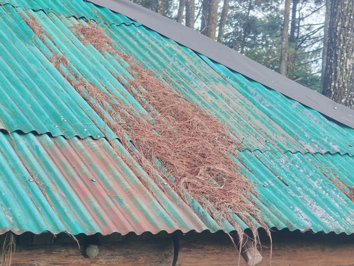 Improper Roof Slope