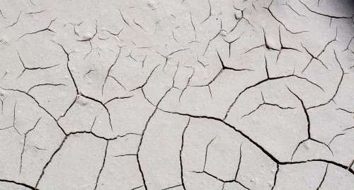 autogenous shrinkage 