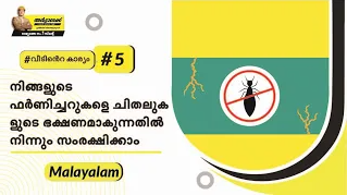 anti-termite-treatment.png