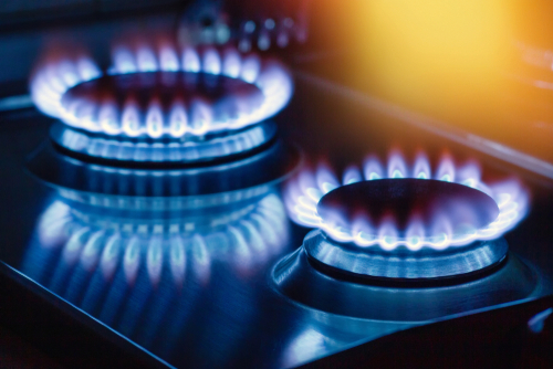 How to Make a Biogas Plant at Home?