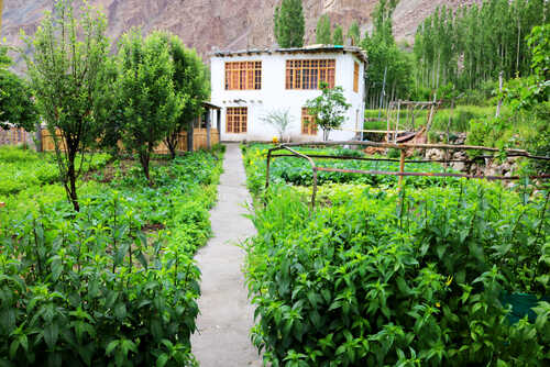 village house in greenery