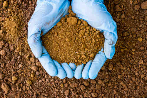 Testing the Soil sample on hand which wears a blue rubber medical glove with soil ground background.  The concept of soil quality and farming